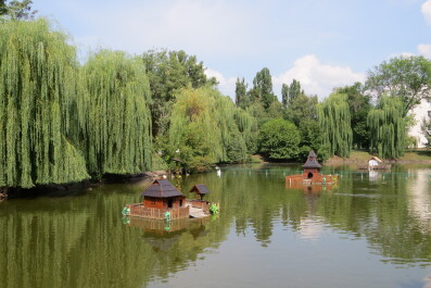 photo 1356794