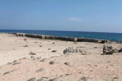 photo 751077