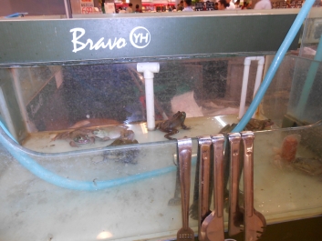 photo 875351