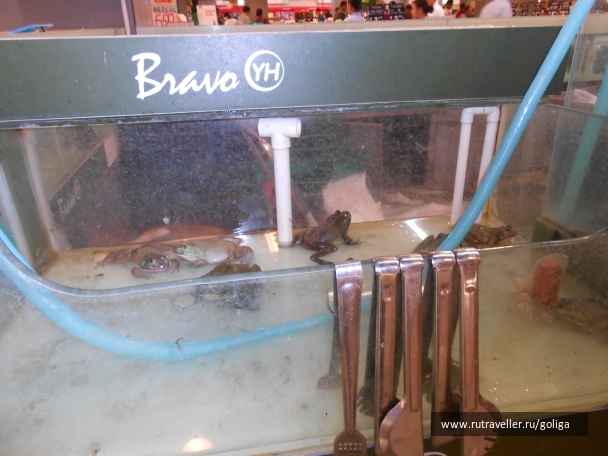 photo 875351
