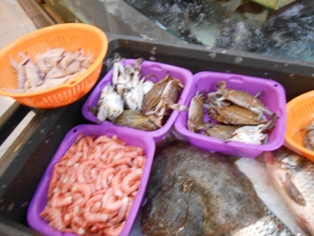 photo 875352