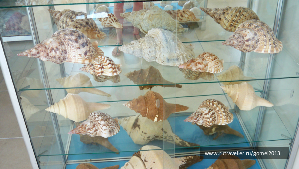 photo 1116347