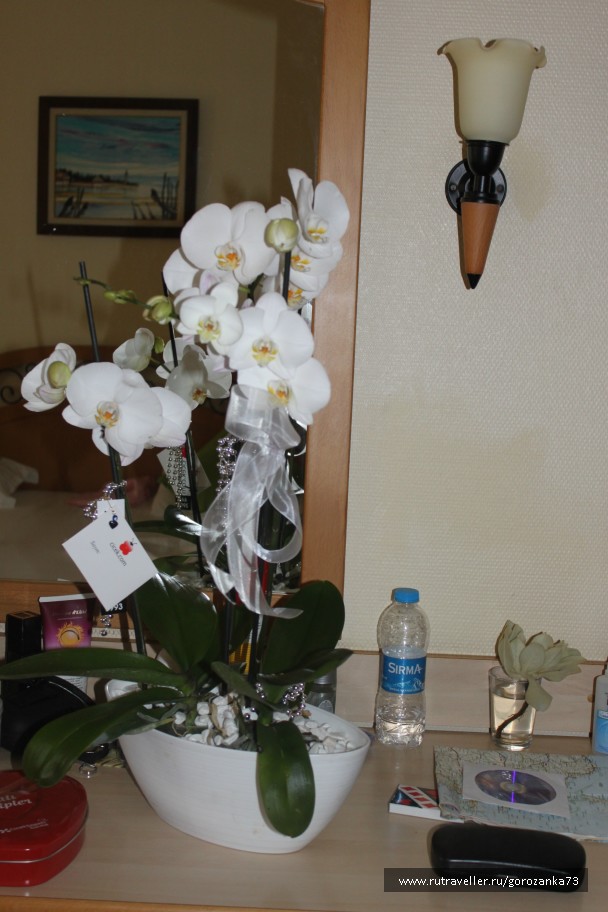 photo 738359
