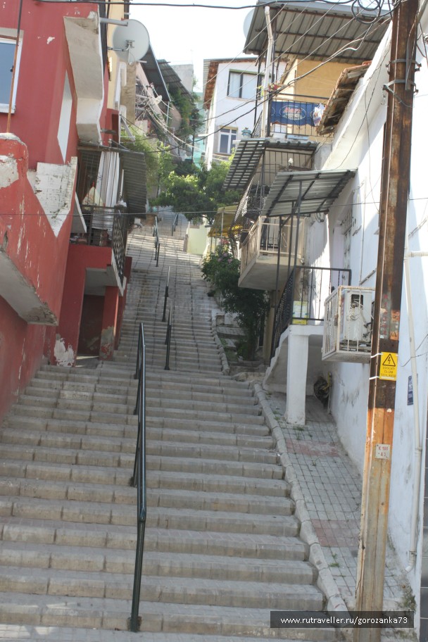 photo 792373