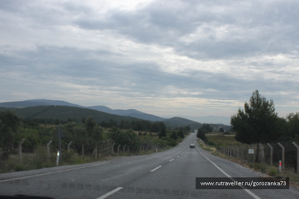 photo 798050
