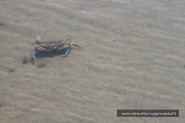 photo 805612