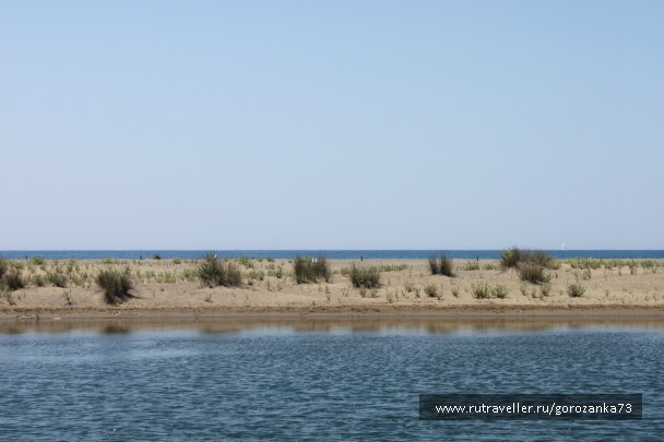 photo 805622