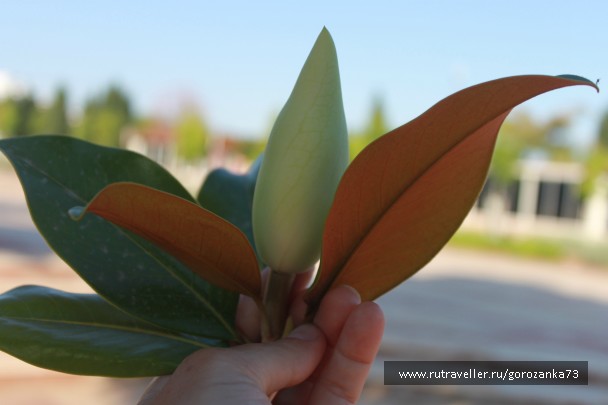 photo 836371