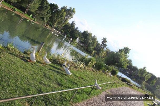 photo 836374