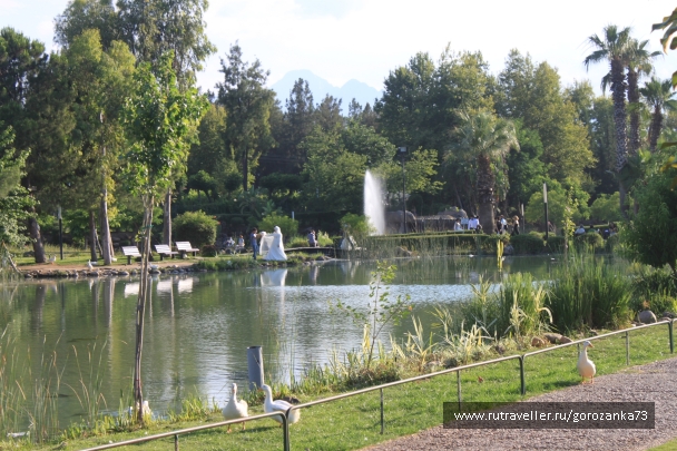 photo 836376