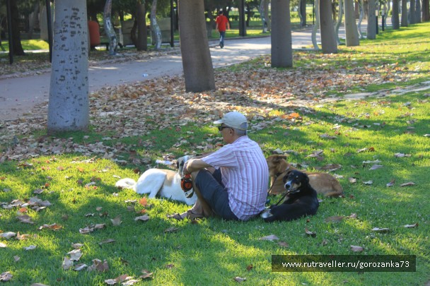 photo 836377