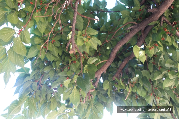 photo 836379