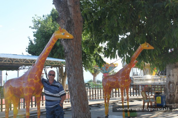 photo 836388