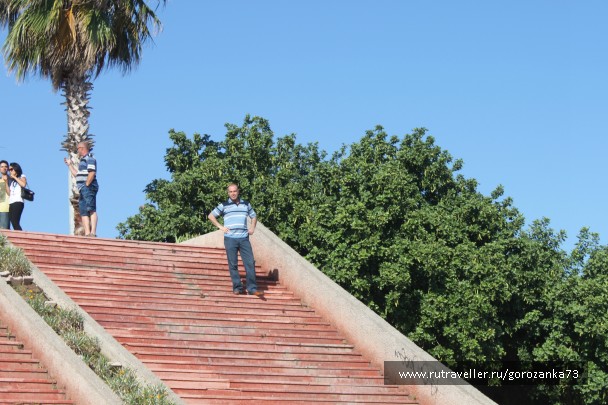 photo 836390