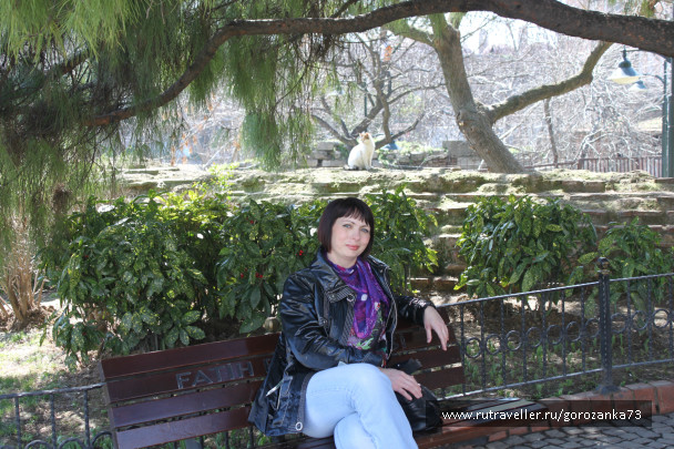 photo 1003639