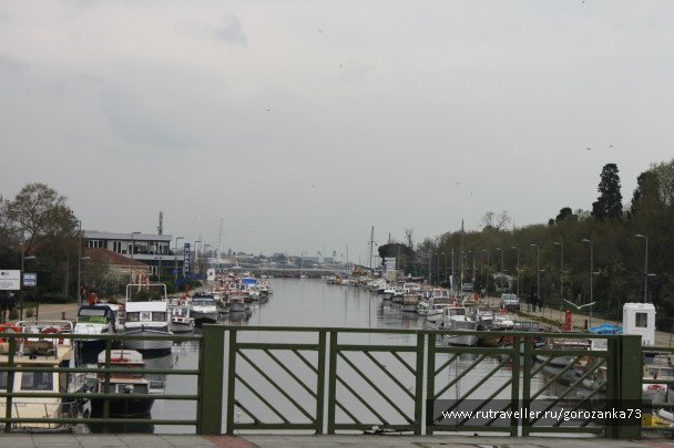 photo 1003650