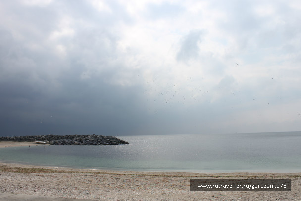 photo 1003653