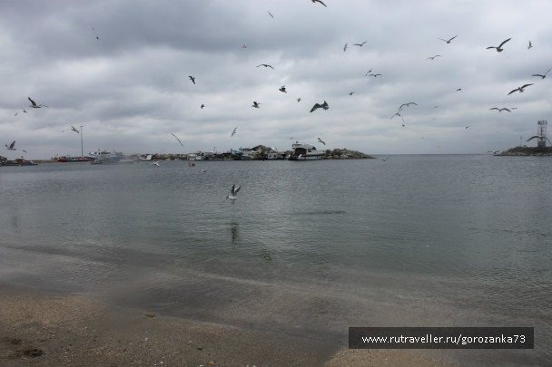 photo 1003660