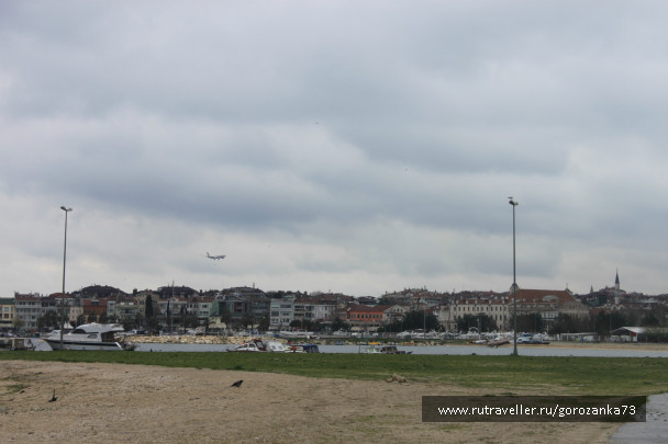 photo 1003662