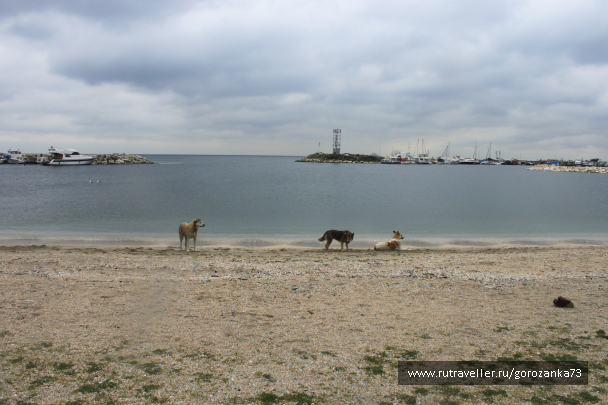 photo 1003664