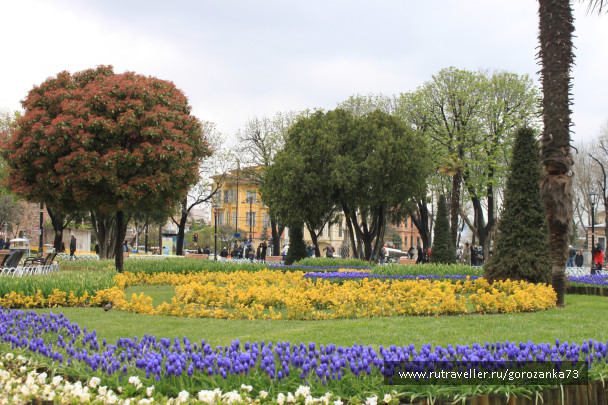 photo 1023067