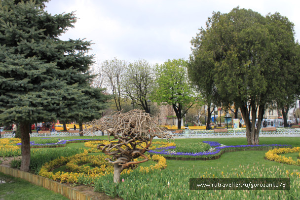 photo 1023069