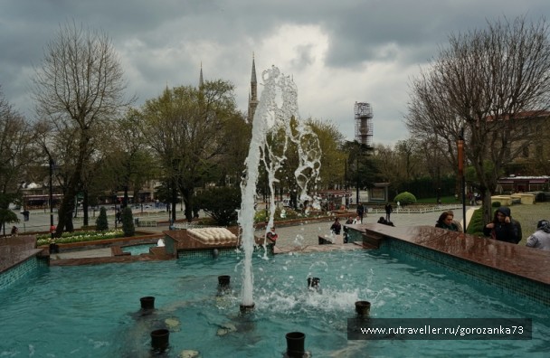 photo 1023072