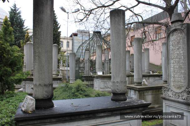 photo 1023077