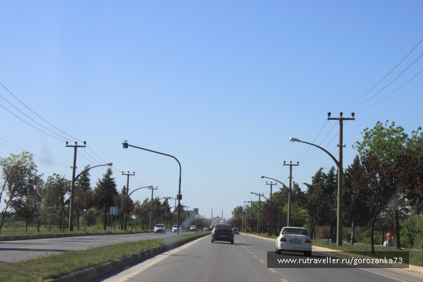 photo 1334833