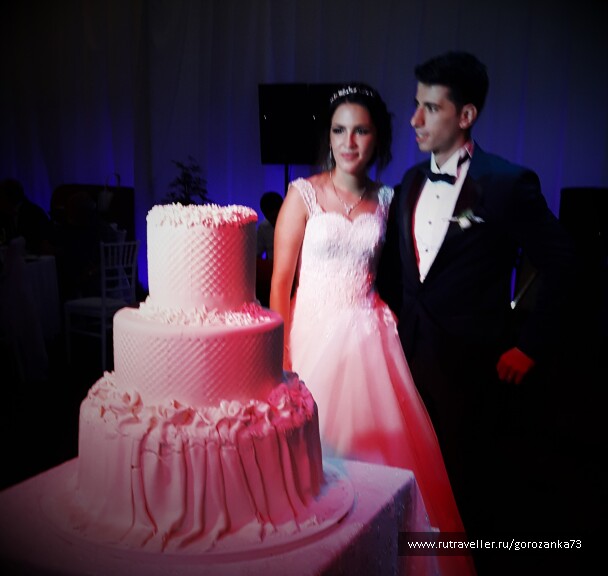 photo 1337960