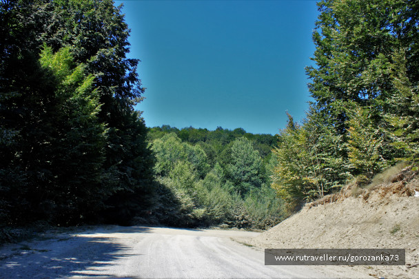 photo 1345816