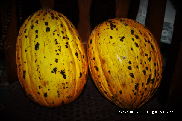 photo 1345824