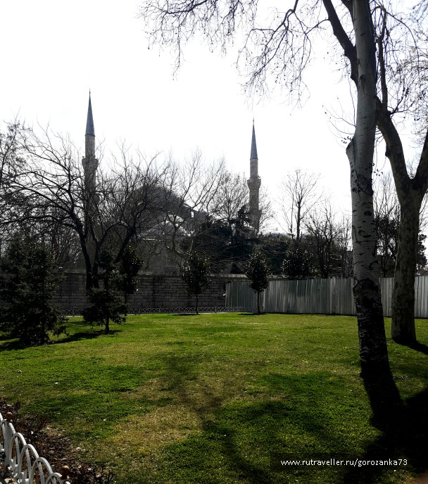 photo 1450894
