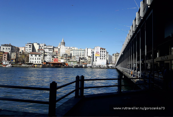 photo 1456466
