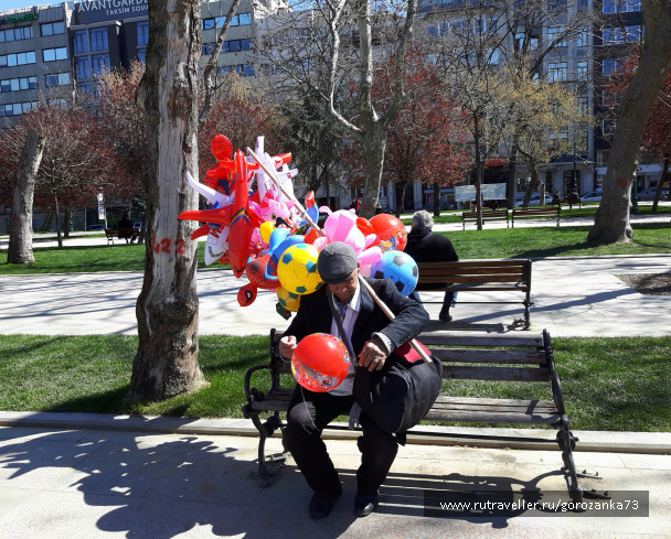 photo 1456483