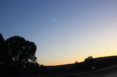 photo 1541552
