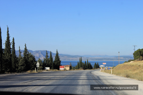 photo 1541554