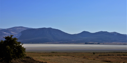 photo 1541555