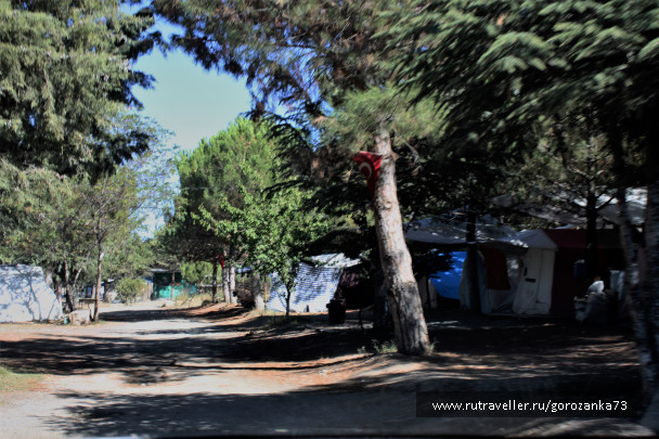 photo 1541569