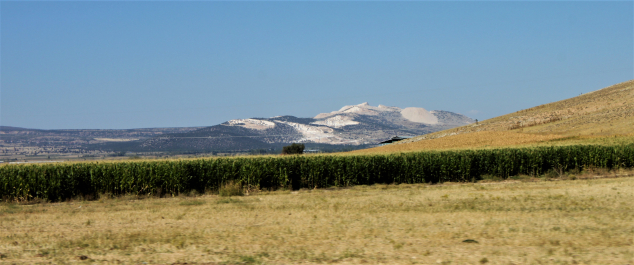 photo 1541583