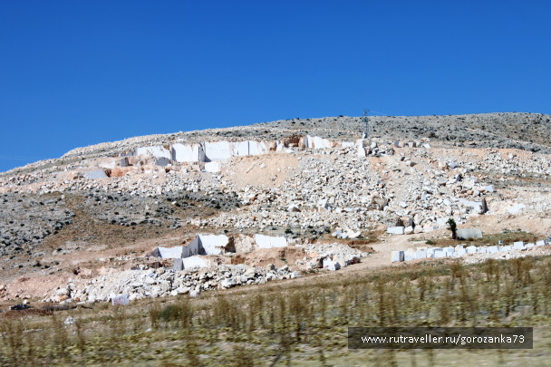 photo 1541584