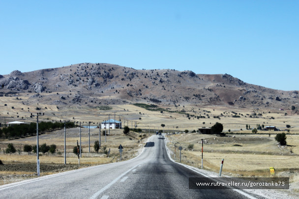 photo 1541587