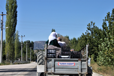 photo 1541608