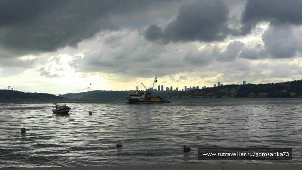 photo 1571818
