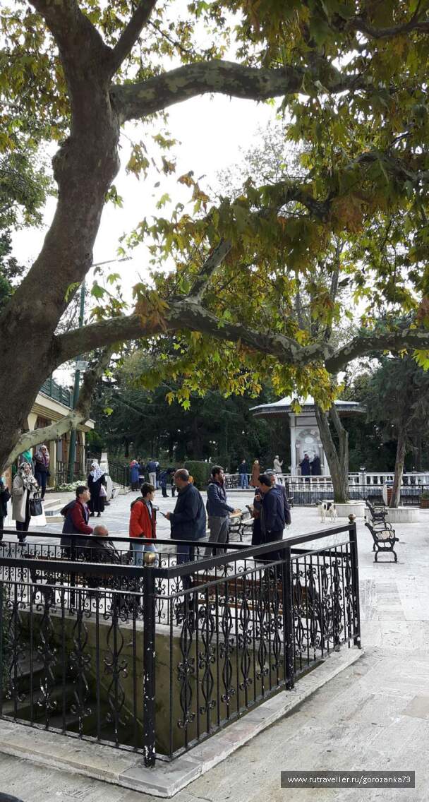 photo 1571825