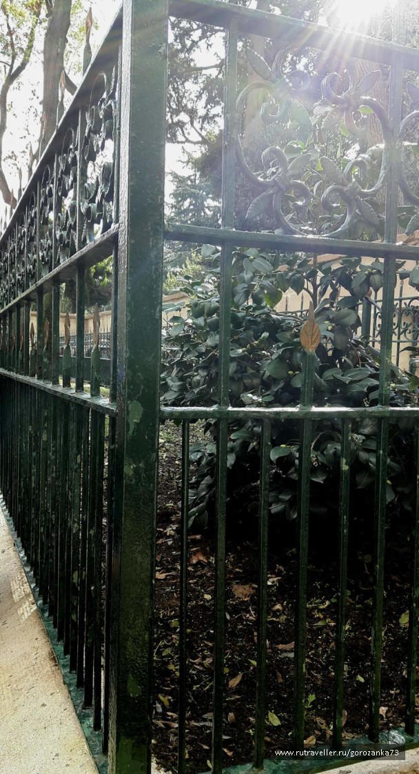 photo 1571826
