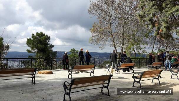 photo 1571831