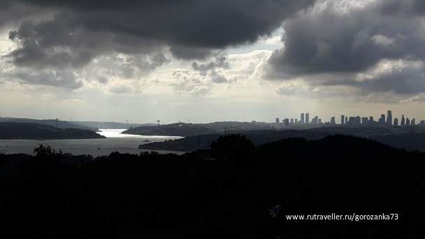 photo 1571843
