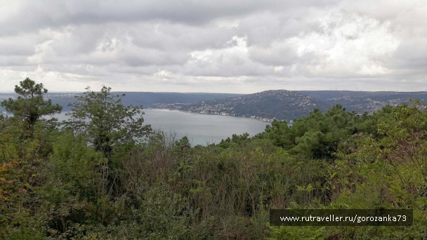 photo 1571846