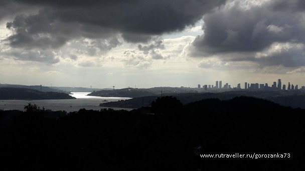photo 1571855